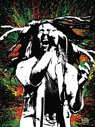 Bob Marley "Paint Canvas Print, Multi-Colour, 60 x 80 cm