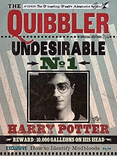 Pyramid International HARRY POTTER Canvas Print Quibbler 60cm x 80cm - Official Merchandise