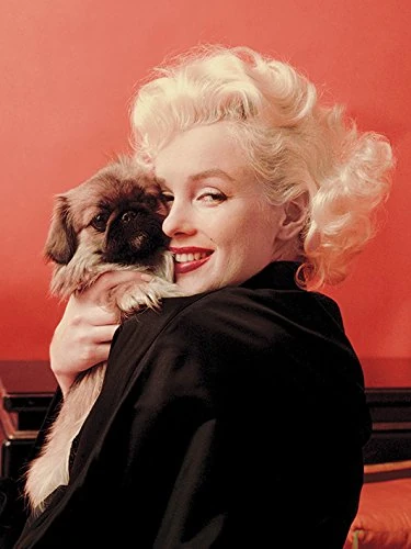 Marilyn Monroe Love Canvas Print, Multi-Colour, 60 x 80 cm