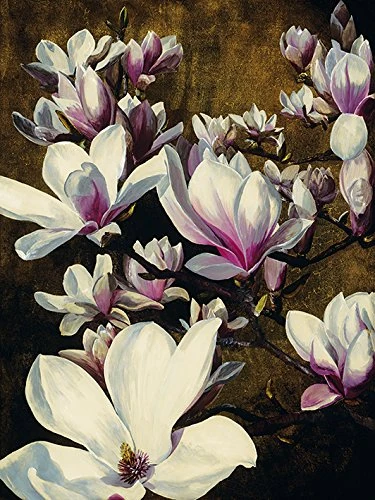 Sarah Caswell "Magnolia Silk Canvas Print, Multi-Colour, 60 x 80 cm