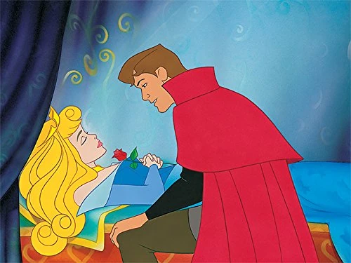 Disney Princess 60x80cm Canvas Print, Multi-Colour