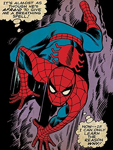Spider-Man Reason Why Canvas Print, Multi-Colour, 60 x 80 cm