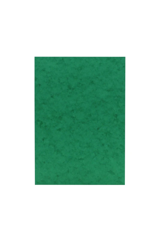 Clairefontaine - Ref 3142Z - Europa Coloured Card (Pack of 50 Sheets) - A3 (420 x 297mm) Size, 265gsm, 300 Micron Mottled Pressboard, Acid Free - Green Colour