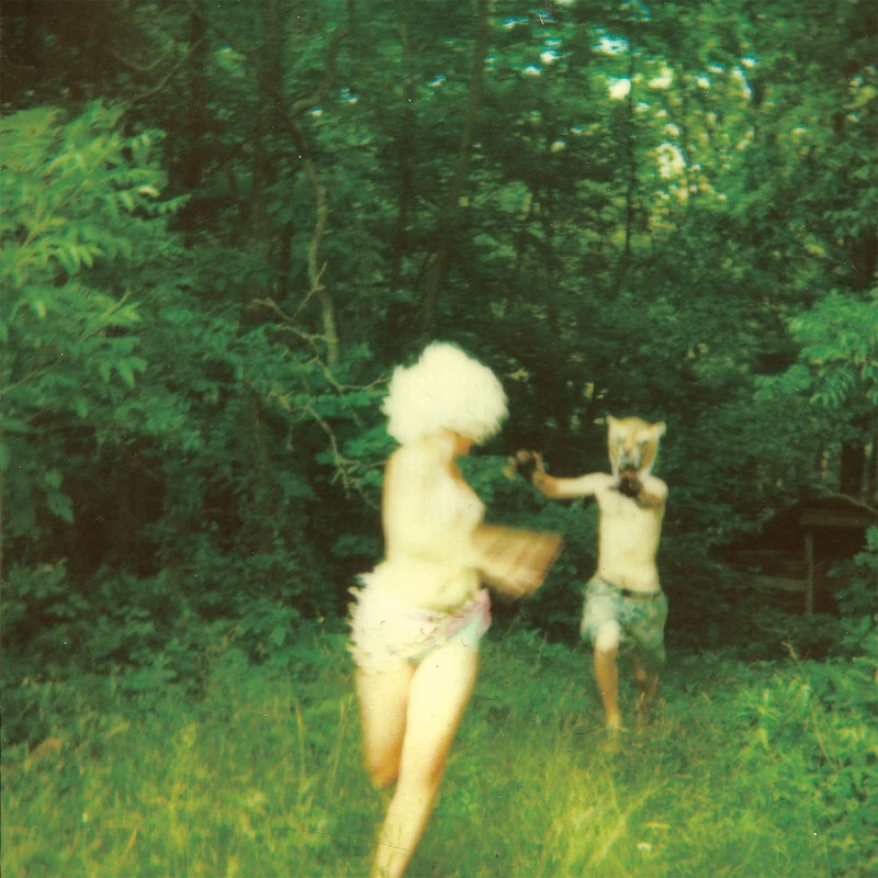 Harmlessness (2LP Set, Includes download card) [VINYL]