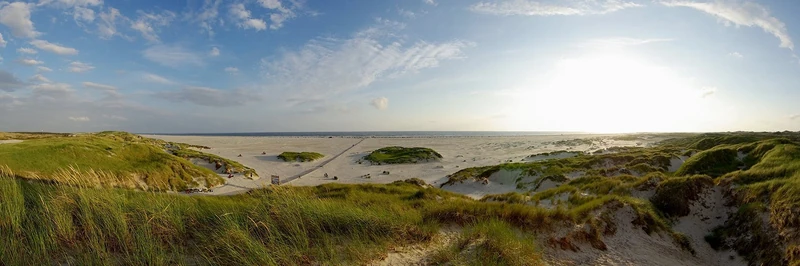 Pro-Art-Bilderpalette Art Print, Wood, Multicoloured