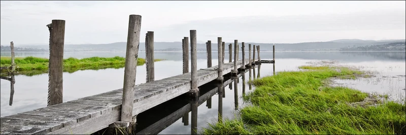 Pro-Art-Bilderpalette Art Print, Pine Wood, Multicoloured