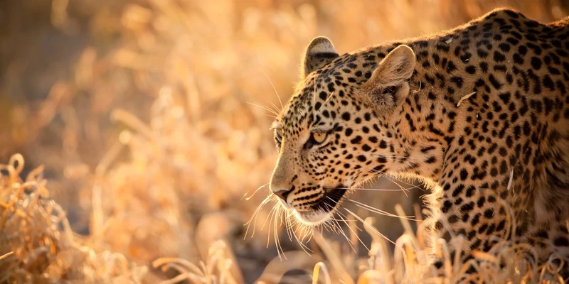 Pro-Art-Bilderpalette Art Print, Canvas, Multicoloured