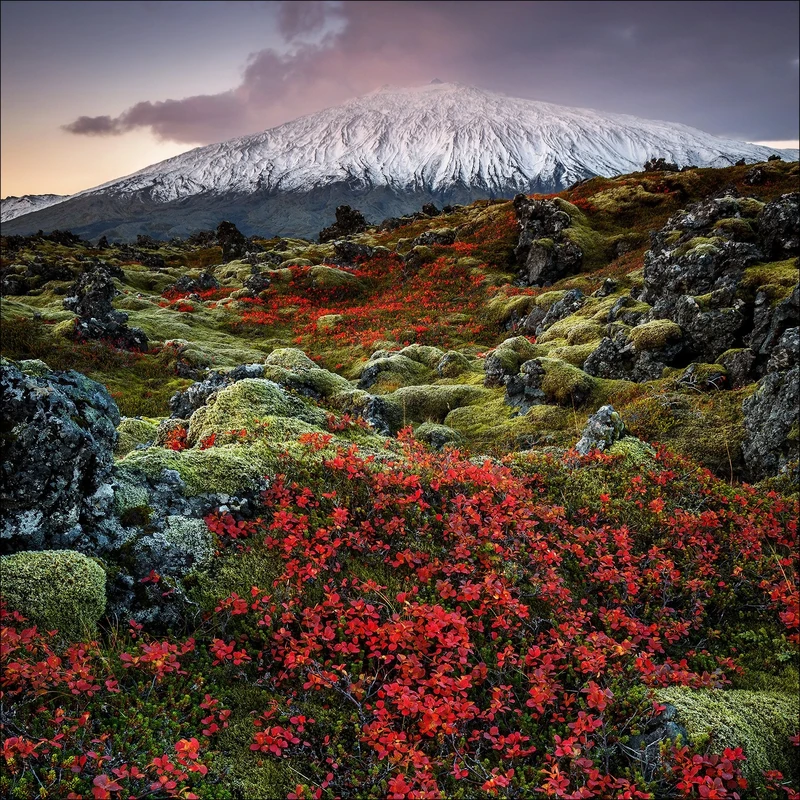 Pro-Art-Bilderpalette Art Print, Pine Wood, Multicoloured, 70 x 70 cm