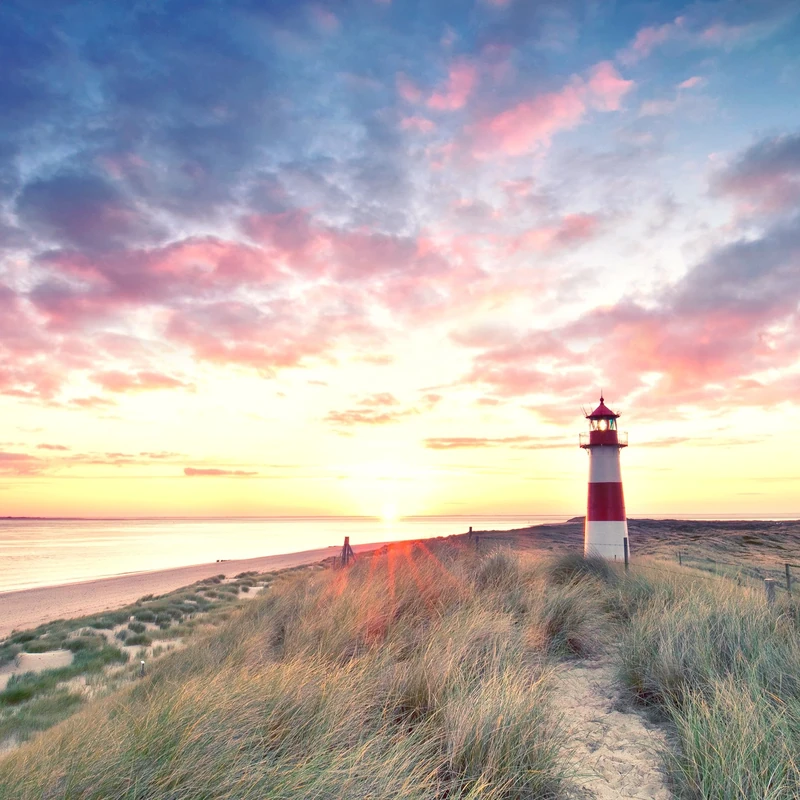 Pro-Art-Bilderpalette Art Print, Pine Wood, Multicoloured, 70 x 70 cm