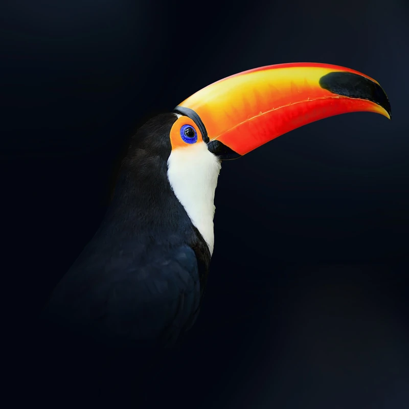 Pro-Art-Bilderpalette Art Print, Canvas, Multicoloured, 70 x 70 cm