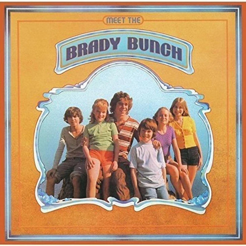 Meet The Brady Bunch [VINYL] - Image 1