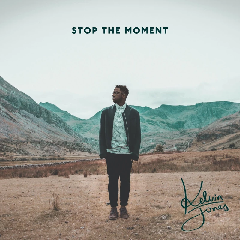 Stop the Moment [VINYL]