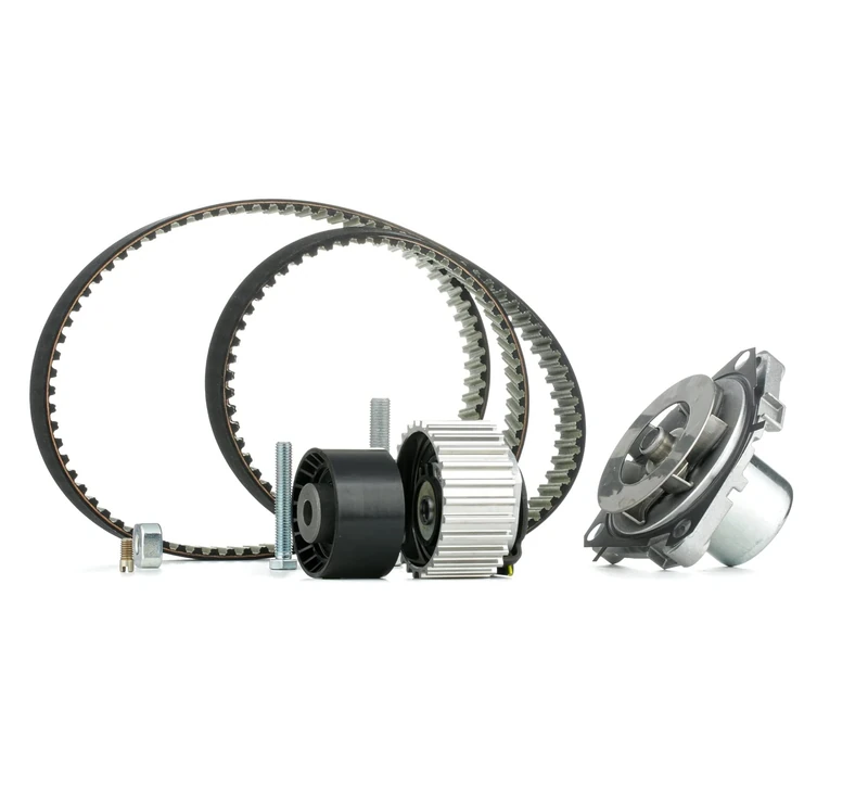 INA 530 0561 30 WATER PUMP & TIMING BELT KIT