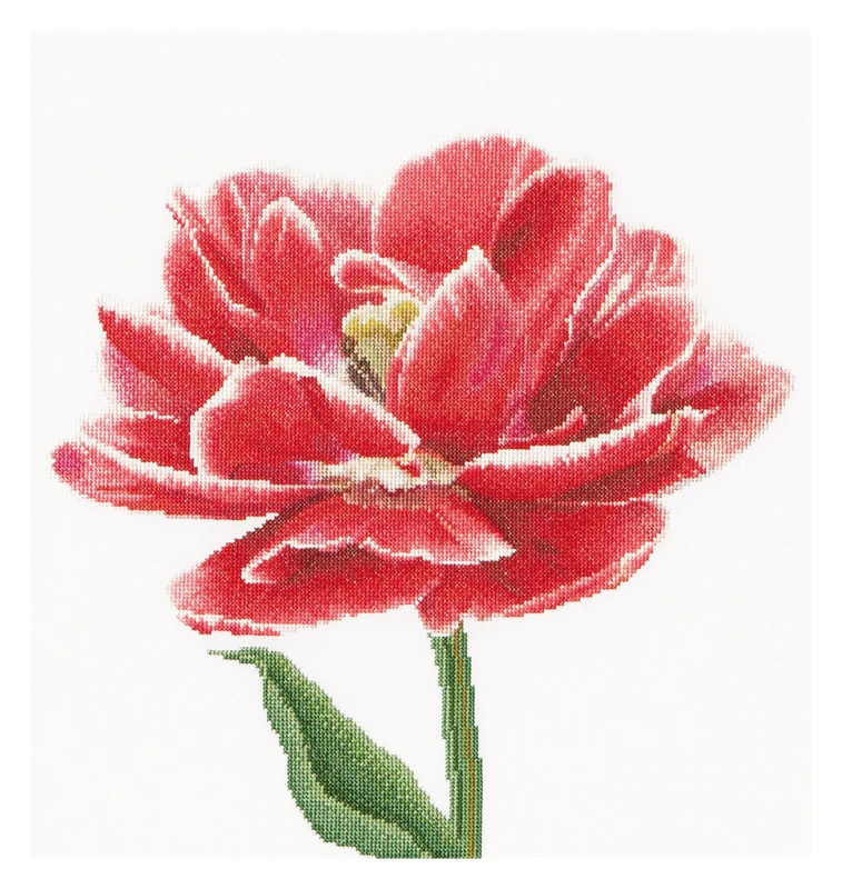 Thea Gouverneur Red/White Edged Early Double Tulip, Fabric, Multi-Colour, 2 x 21 x 30 cm