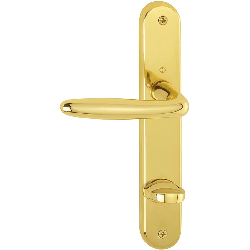 Hoppe Roissy Door Handle Set on WC 90 Sign Polished Brass