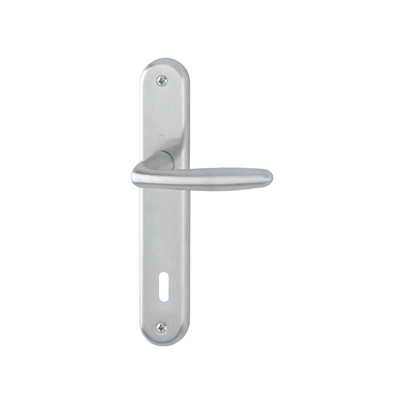 Hoppe Roissy Door Handle Set on Plate BB 90 Door Thickness 35-54 Matt Chrome-Plated Brass