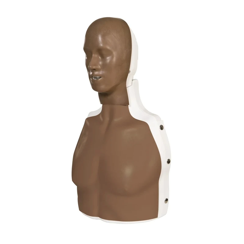 3B Scientific P72/1 Basic Billy CPR Simulator, Dark Skin
