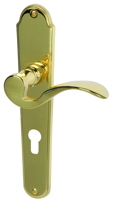 ALPERTEC Door Fittings Panda – Polished Brass for Front Doors 32217003 PZ Door Handle Set Door Fittings Door Handle