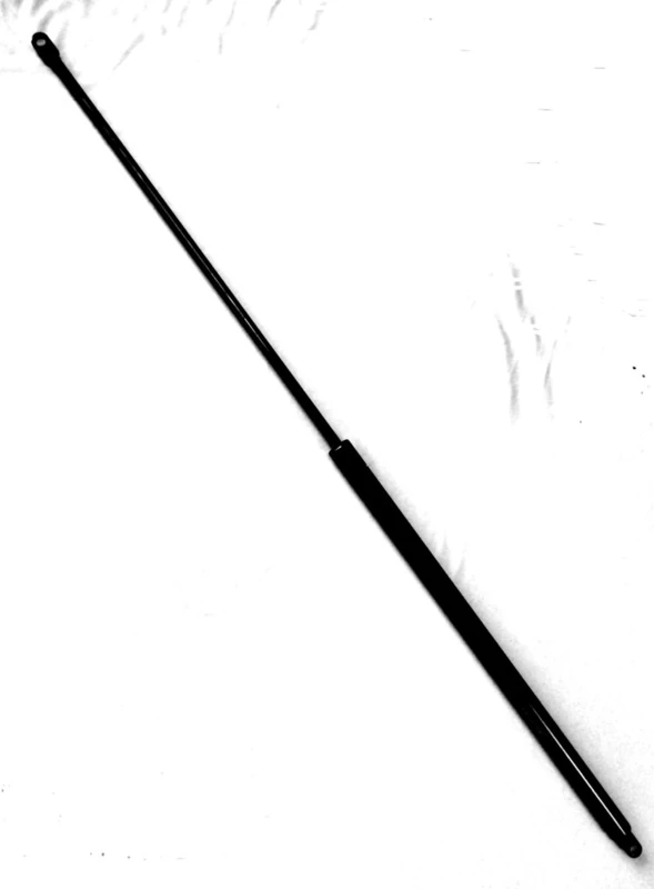 Stabilus 095273 Gas Spring