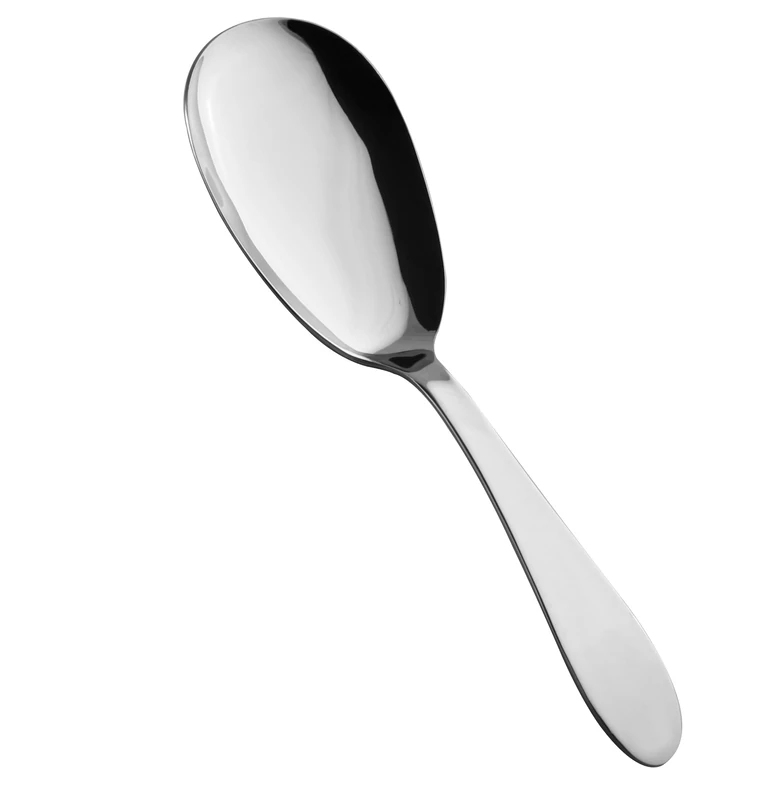 Salvinelli Rice Spoon, Stainless Steel, 30 x 30 x 30 cm