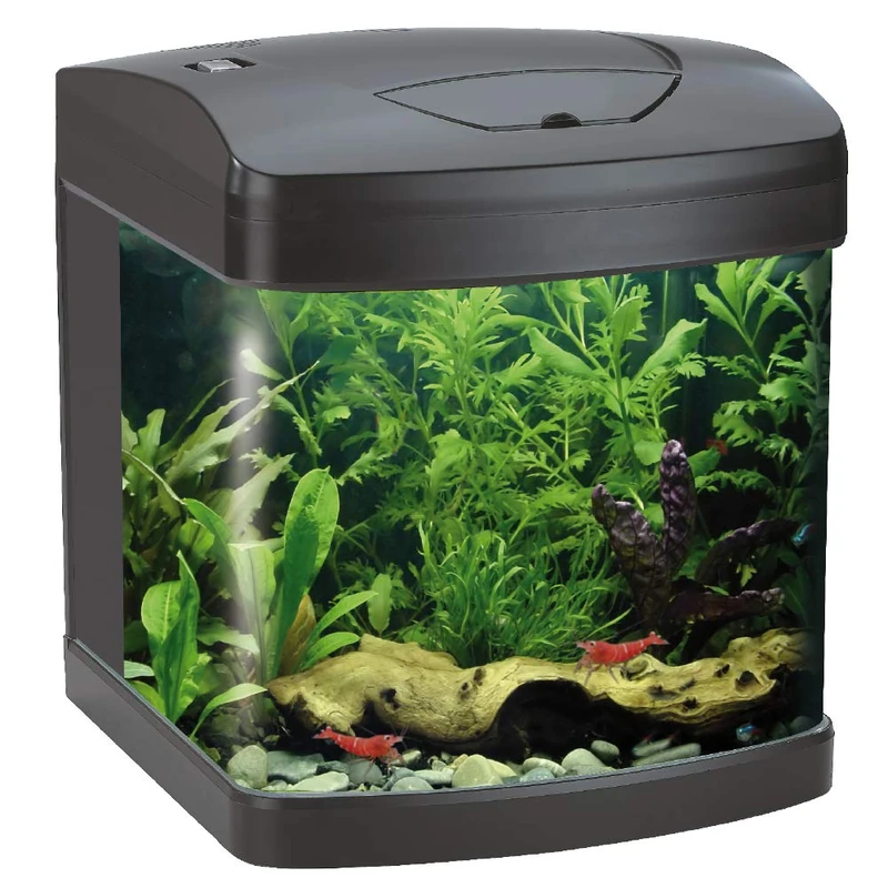 Amtra Laguna XCUBE 26 LED Black - Aquarium Complete with LED Lighting and Filter/cm 31x32x37 / 26 Liters