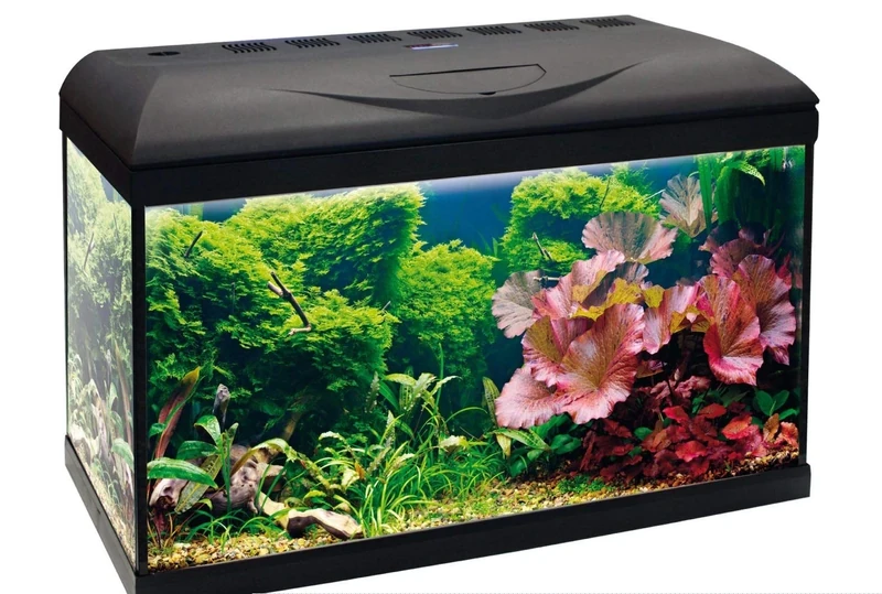 Amtra Basic 60 LED - Complete aquarium of 65 liters, 8 watt lighting, internal filter and heater, 60x32x42 cm