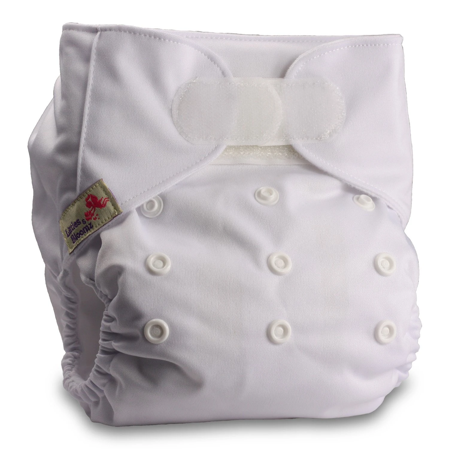 Littles & Bloomz, Reusable Pocket Cloth Nappy, Fastener: Hook-Loop, Set of 1, Pattern 44, with 2 Bamboo Inserts