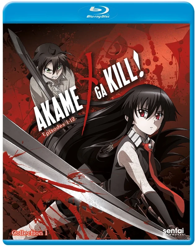 Akame Ga Kill!: Collection 1 [Region 1]