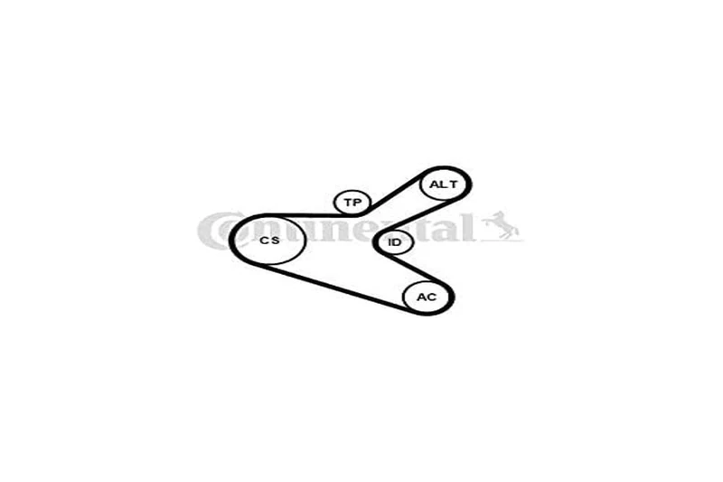 ContiTech 6PK1153K2