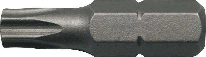Ega Master 55150 - Blister with 125 Bits Torx T-5 25 Mm Masterbit
