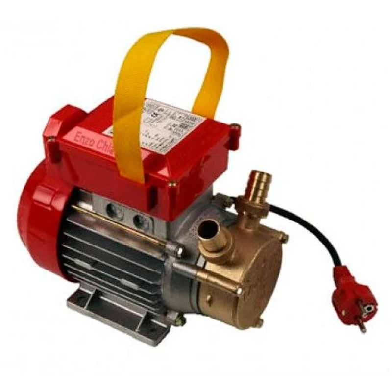Pump TRANSVASEMENT cm ³-Electric Brass Pipe Ø 20 220 V 1700 L/H - Image 1