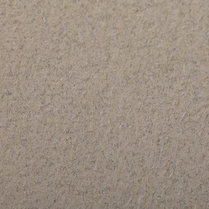 Clairefontaine - Ref 93756C - Etival Coloured Grained Drawing Paper (24 Sheets of Paper) - 50 x 65cm - 160gsm Cellulose Art Paper - Champagne - Acid Free, pH Neutral