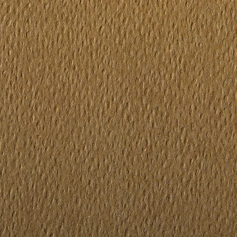 Clairefontaine - Ref 93777C - Etival Coloured Grained Drawing Paper (24 Sheets of Paper) - 50 x 65cm - 160gsm Cellulose Art Paper - Tobacco - Acid Free, pH Neutral