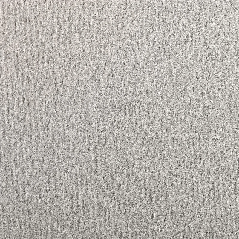 Clairefontaine - Ref 93781C - Etival Coloured Grained Drawing Paper (24 Sheets of Paper) - 50 x 65cm - 160gsm Cellulose Art Paper - Light Grey - Acid Free, pH Neutral