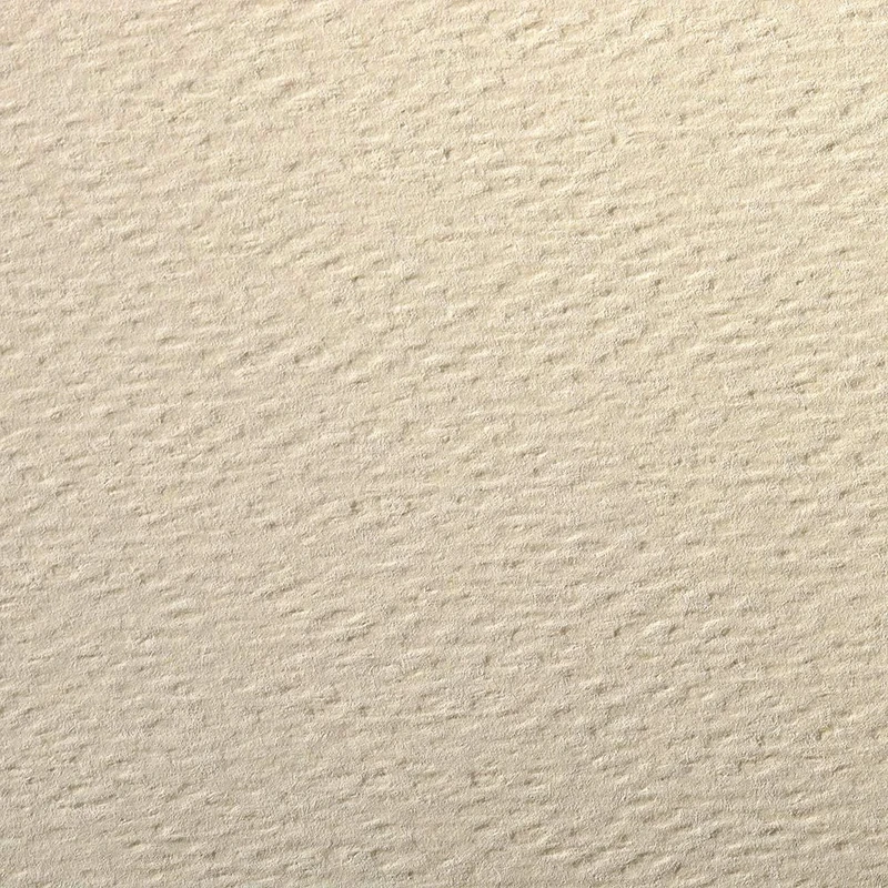 Clairefontaine - Ref 93791C - Etival Coloured Grained Drawing Paper (24 Sheets of Paper) - 50 x 65cm - 160gsm Cellulose Art Paper - Lemon - Acid Free, pH Neutral