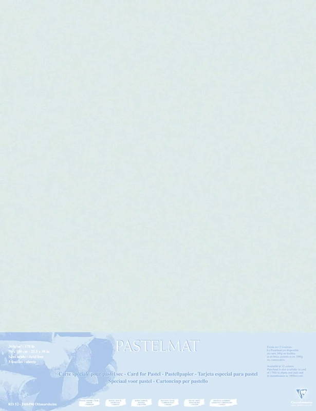 Clairefontaine - Ref 396020C - Pastelmat Mounted Board (5 Sheets) - 1800 Microns - 70 x 100cm - Light Grey Colour - Specially Formulated For Use With Pastels