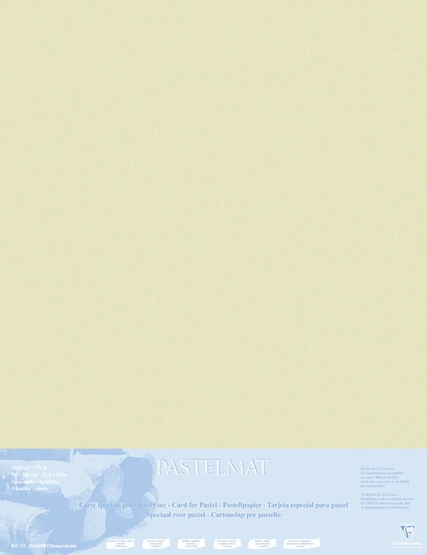 Clairefontaine - Ref 396015C - Pastelmat Mounted Board (5 Sheets) - 1800 Microns - 70 x 100cm - Sand Colour - Specially Formulated For Use With Pastels
