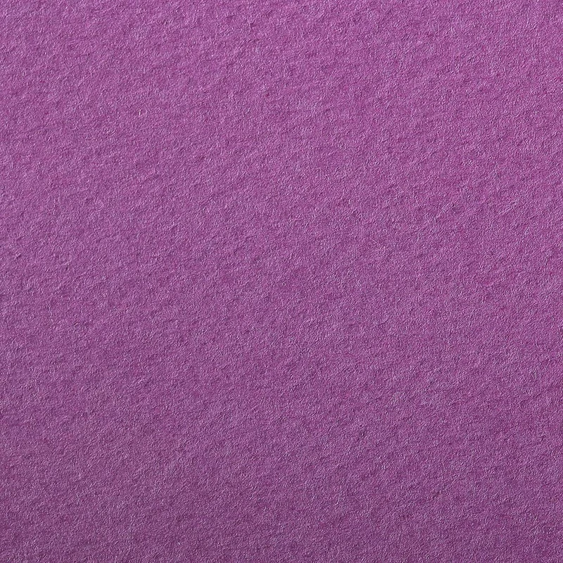 Clairefontaine - Ref 93776C - Etival Coloured Grained Drawing Paper (24 Sheets of Paper) - 50 x 65cm - 160gsm Cellulose Art Paper - Violet - Acid Free, pH Neutral