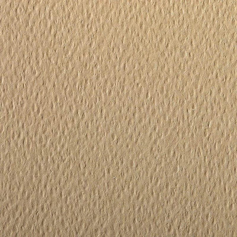 Clairefontaine - Ref 93766C - Etival Coloured Grained Drawing Paper (24 Sheets of Paper) - 50 x 65cm - 160gsm Cellulose Art Paper - Camel - Acid Free, pH Neutral