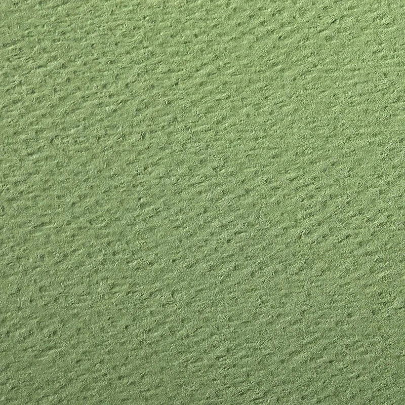 Clairefontaine - Ref 93796C - Etival Coloured Grained Drawing Paper (24 Sheets of Paper) - 50 x 65cm - 160gsm Cellulose Art Paper - Apple Green - Acid Free, pH Neutral