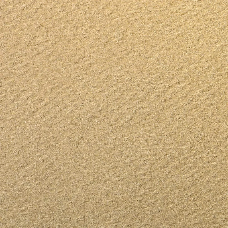 Clairefontaine - Ref 93797C - Etival Coloured Grained Drawing Paper (24 Sheets of Paper) - 50 x 65cm - 160gsm Cellulose Art Paper - Maize - Acid Free, pH Neutral