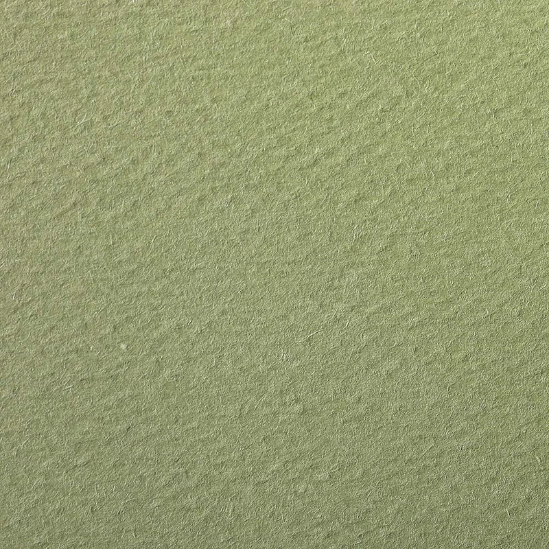 Clairefontaine - Ref 93784C - Etival Coloured Grained Drawing Paper (24 Sheets of Paper) - 50 x 65cm - 160gsm Cellulose Art Paper - Almond Green - Acid Free, pH Neutral