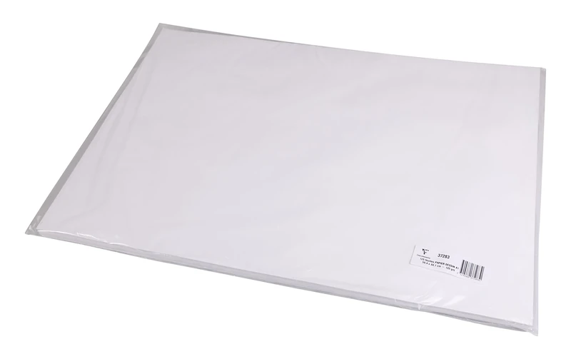 Clairefontaine - Ref 37283C - White Drawing Sketch Paper (Pack of 125 Sheets) - A1 (59.4 x 84cm) - 120gsm Paper, pH Neutral, Acid Free, Suitable for Sketching & Drawing