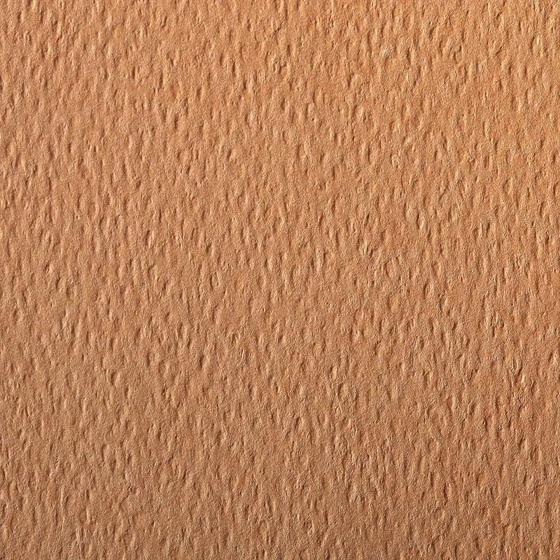 Clairefontaine - Ref 93787C - Etival Coloured Grained Drawing Paper (24 Sheets of Paper) - 50 x 65cm - 160gsm Cellulose Art Paper - Salmon - Acid Free, pH Neutral