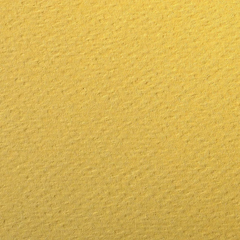 Clairefontaine - Ref 93771C - Etival Coloured Grained Drawing Paper (24 Sheets of Paper) - 50 x 65cm - 160gsm Cellulose Art Paper - Buttercup - Acid Free, pH Neutral