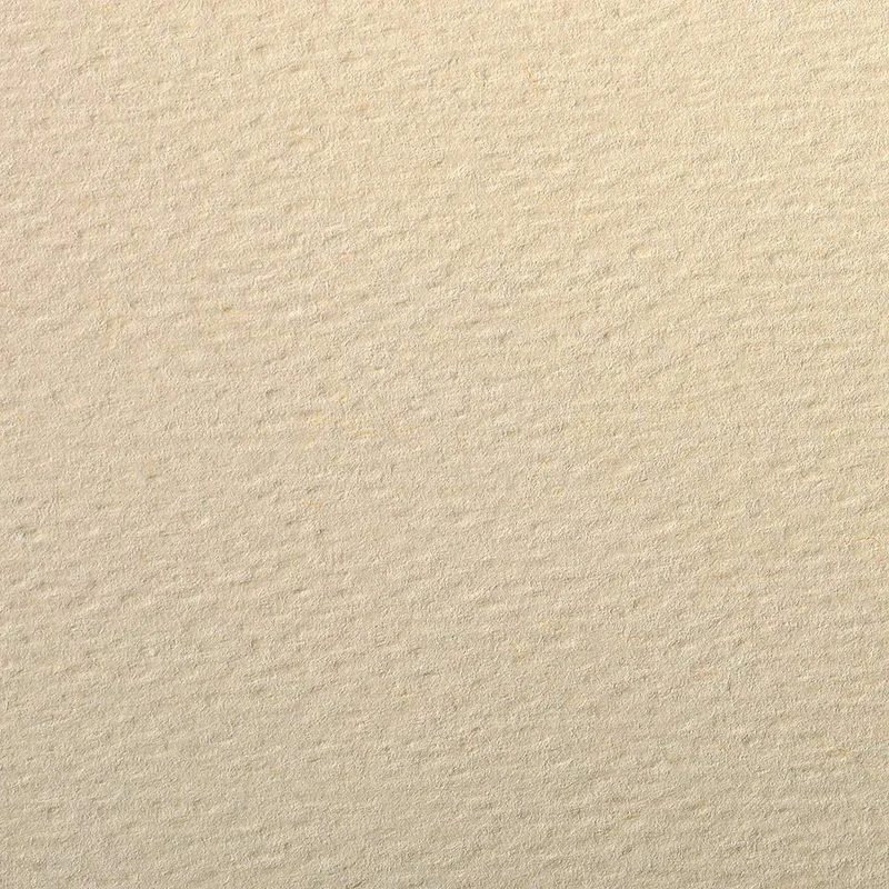 Clairefontaine - Ref 93782C - Etival Coloured Grained Drawing Paper (24 Sheets of Paper) - 50 x 65cm - 160gsm Cellulose Art Paper - Ivory - Acid Free, pH Neutral