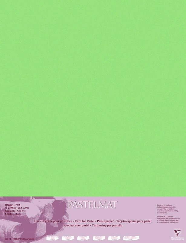 Clairefontaine - Ref 96158C - Pastelmat Card Sheets (Pack of 5 Sheets) - 360gsm Card - 70 x 100cm - Light Green Colour - Specially Formulated For Use With Pastels