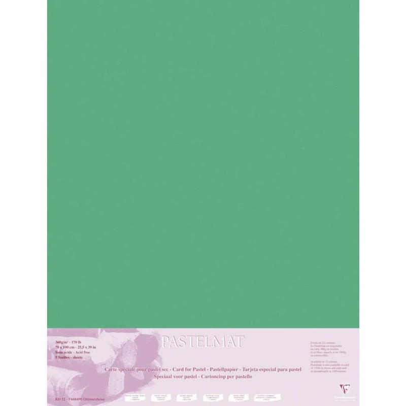 Clairefontaine - Ref 96169C - Pastelmat Card Sheets (Pack of 5 Sheets) - 360gsm Card - 70 x 100cm - Dark Green Colour - Specially Formulated For Use With Pastels