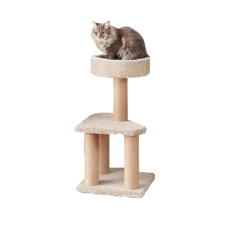 Amazon Basics Cat Tree Tower with Scratching Posts for Home Indoor Use, Beige, Medium (40L x 40W x 80H cm)