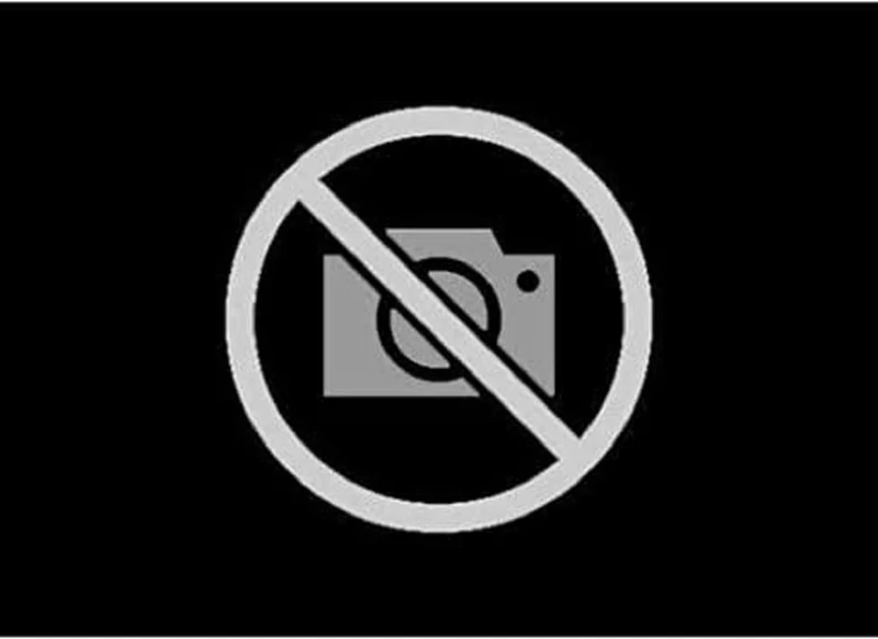 MANN-FILTER C 18 009 x Air Filter - for Off-Highway Applications